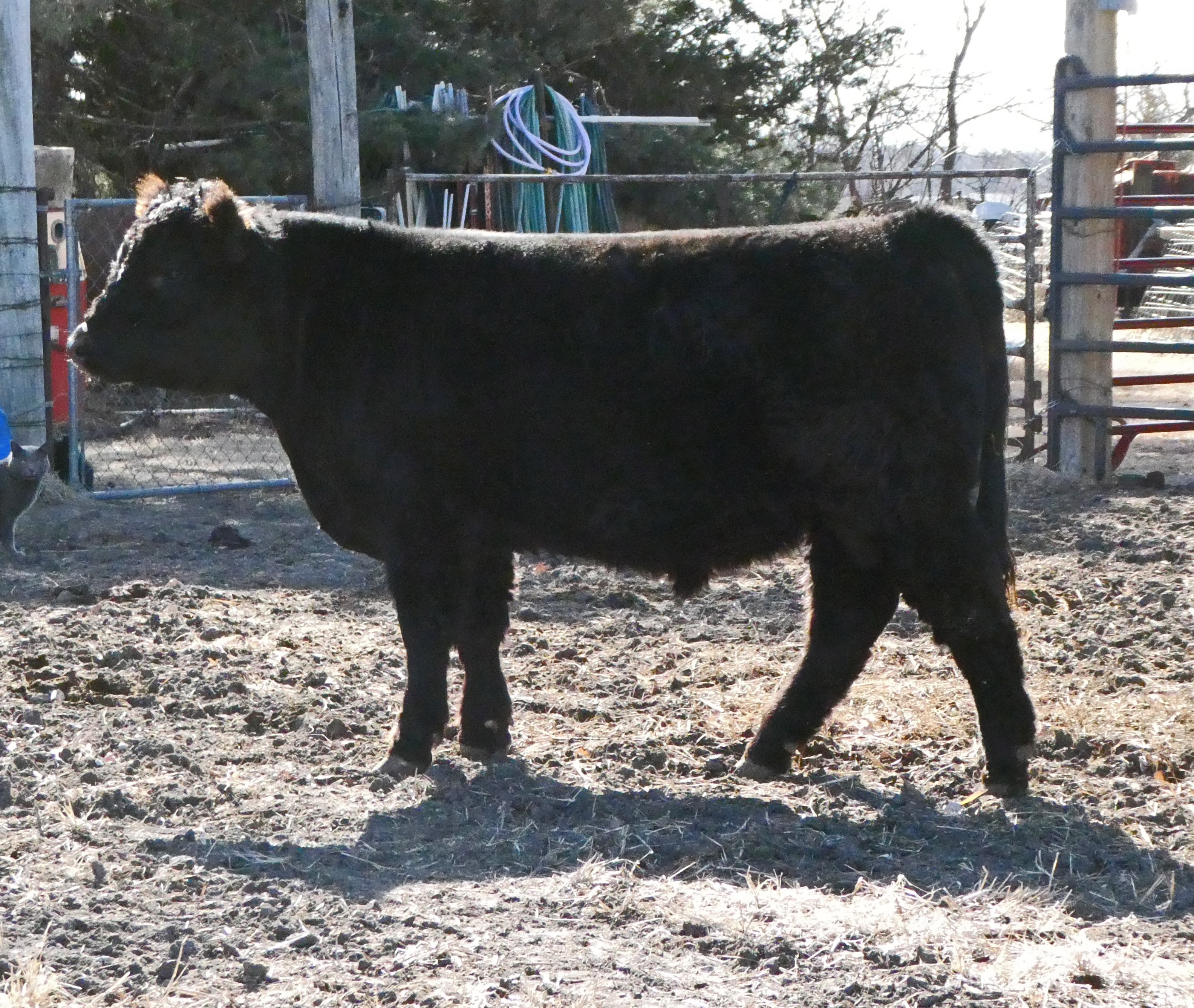 E8 feb sidecrop.jpg
